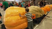 Big Pumpkin Growers