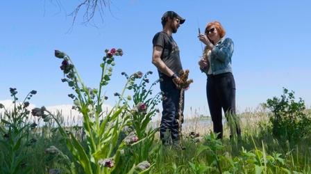 Video thumbnail: Street Level Kate Kavanaugh: Rocky Mountain Wildlife Arsenal
