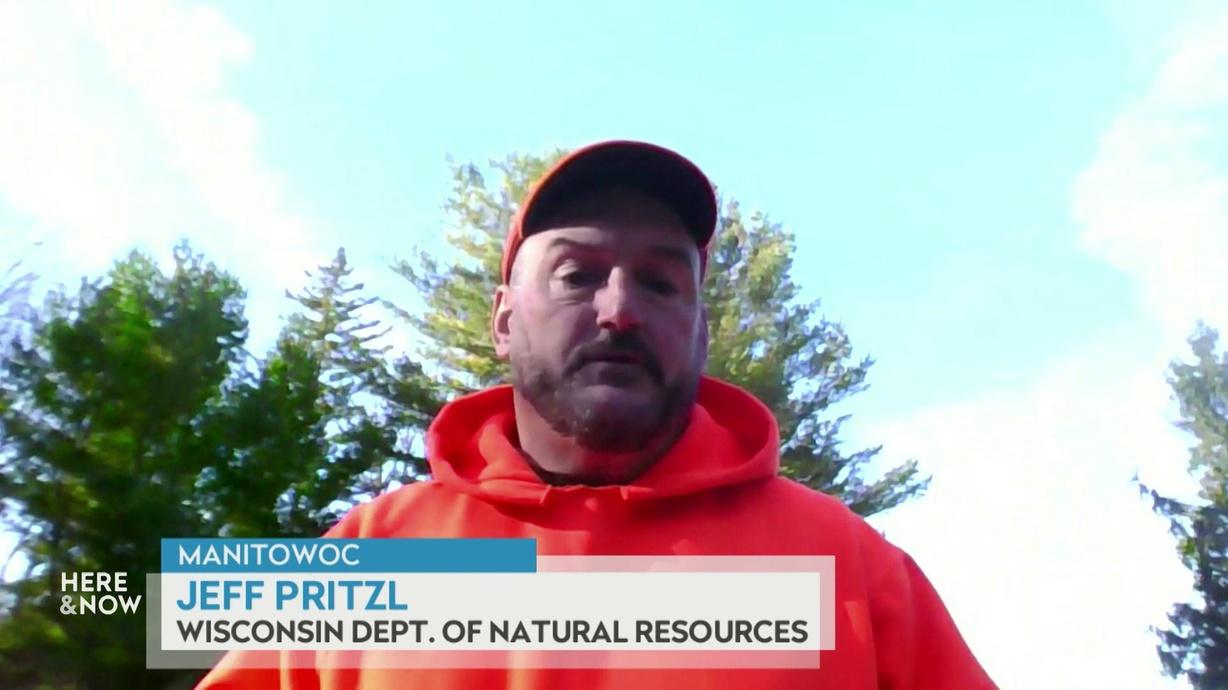 Video Stub for Jeff Pritzl on Wisconsin’s 2025 Gun Deer Hunt Season Outlook