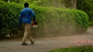 Low-Impact Groundskeeping