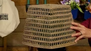 Plant Care with Reused and Recycled Containers