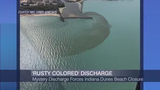 Mystery Discharge Forces Indiana Dunes Beach Closures
