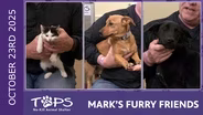 10/23/25 | Pepper, Short Stack, and Sonja| Mark's Furry Friends