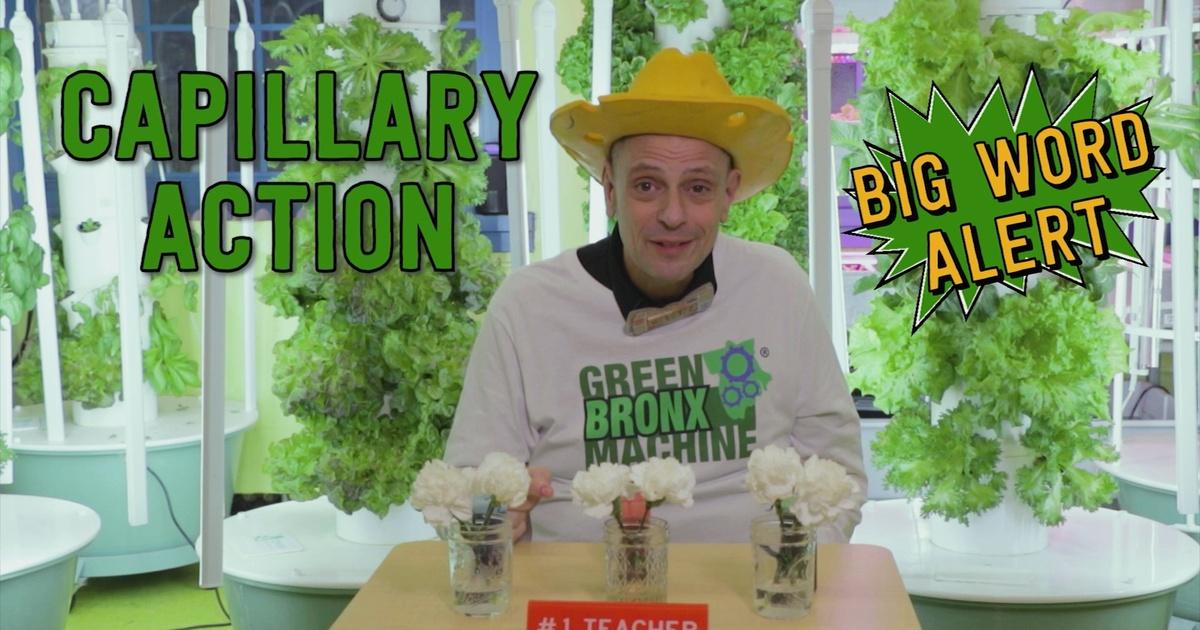 Let's Learn | MR. RITZ EXPLORES DENSITY WITH JASON LATIMER | KERA