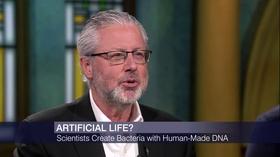 Video thumbnail: Chicago Tonight Northwestern Researchers Reverse Age-Related Memory Loss