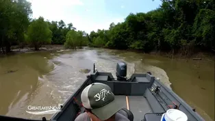 Stopping Asian Carp in the Great Lakes