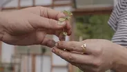 Rooted in Community