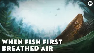 When Fish First Breathed Air