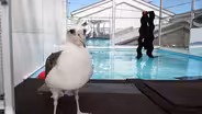 Ocean Care