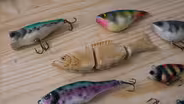 Bass Kayak Fishing; Ballard WMA; Young Lure Maker