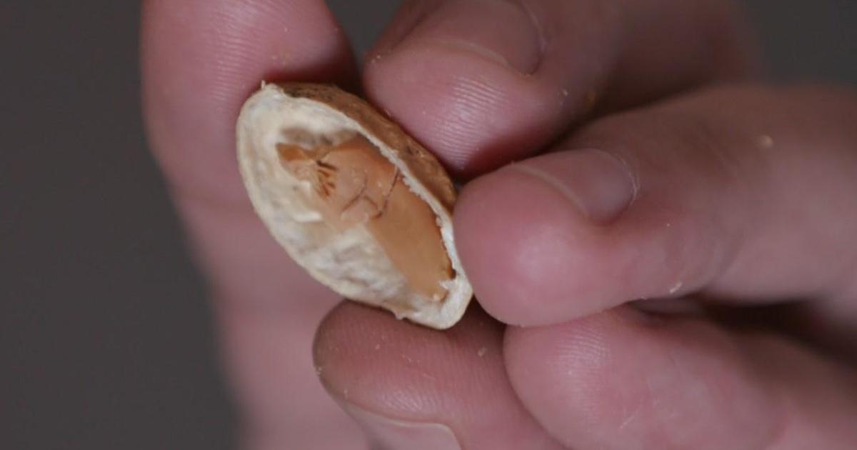 Arts in Context Art in a Nutshell PBS