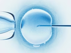 Pressure for IVF success obscures ethical issues