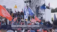 Who Stormed the US Capitol? New Report Digs Into Demographic