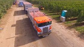 Video thumbnail: Washington Grown 712 Transportation