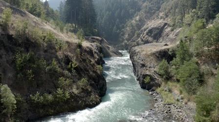 Video thumbnail: Oregon Field Guide Condit Dam 10-Years Later