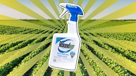 Video thumbnail: Reactions How Roundup Kills Weeds (And How Weeds are Fighting Back)