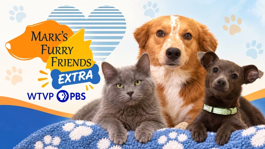 Mark’s Furry Friends