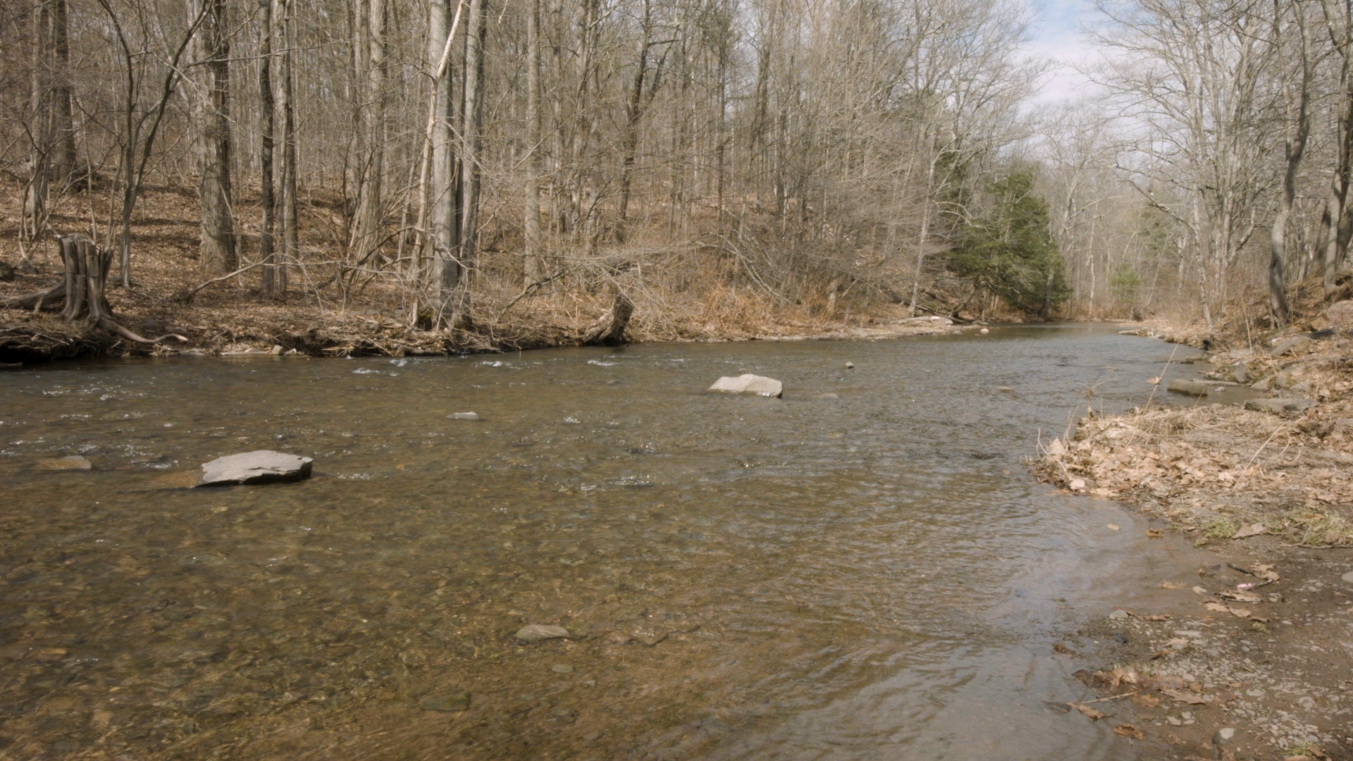 A river in Cairo, New York, early spring