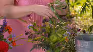Cutting & Vegetable Gardening Tips | Gardening With Steil