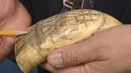 Appraisal: 1884 Scrimshaw