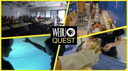 Video thumbnail: WEDU Quest Episode 503
