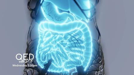 Video thumbnail: QED With Dr. B Trust Your Gut Preview