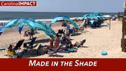 Made In the Shade | Carolina Impact