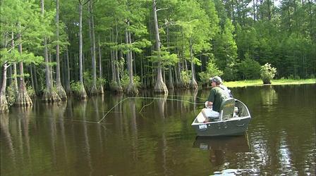 Video thumbnail: Carolina Outdoor Journal Bream Bed