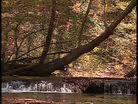 Doe Run Inn; The Musical Hamblins; Summer Art Camp