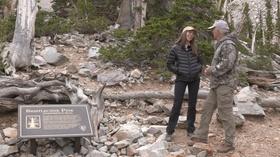 Video thumbnail: Outdoor Nevada Ancient Pines
