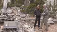 Great Basin’s Ancient Bristlecone Pine Forest and Alpine Glacier