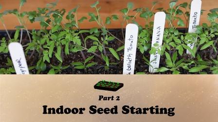 Video thumbnail: Let's Grow Stuff Indoor Seed Starting Part Two