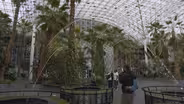 Chicago Resident Working to Save Navy Pier’s Crystal Gardens