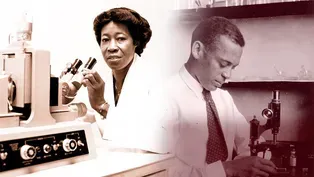 Celebrating Black Scientists