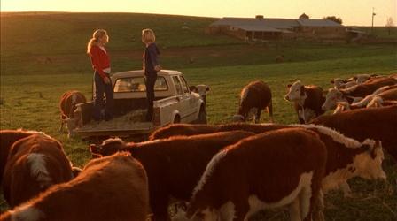 Video thumbnail: McLeod's Daughters Ep. 18: More Than One Way
