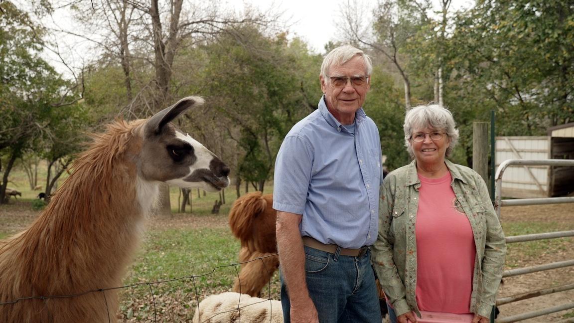 On their farm Kathy and Terry Sletto stay connected to a long family heritage of wool-production.
