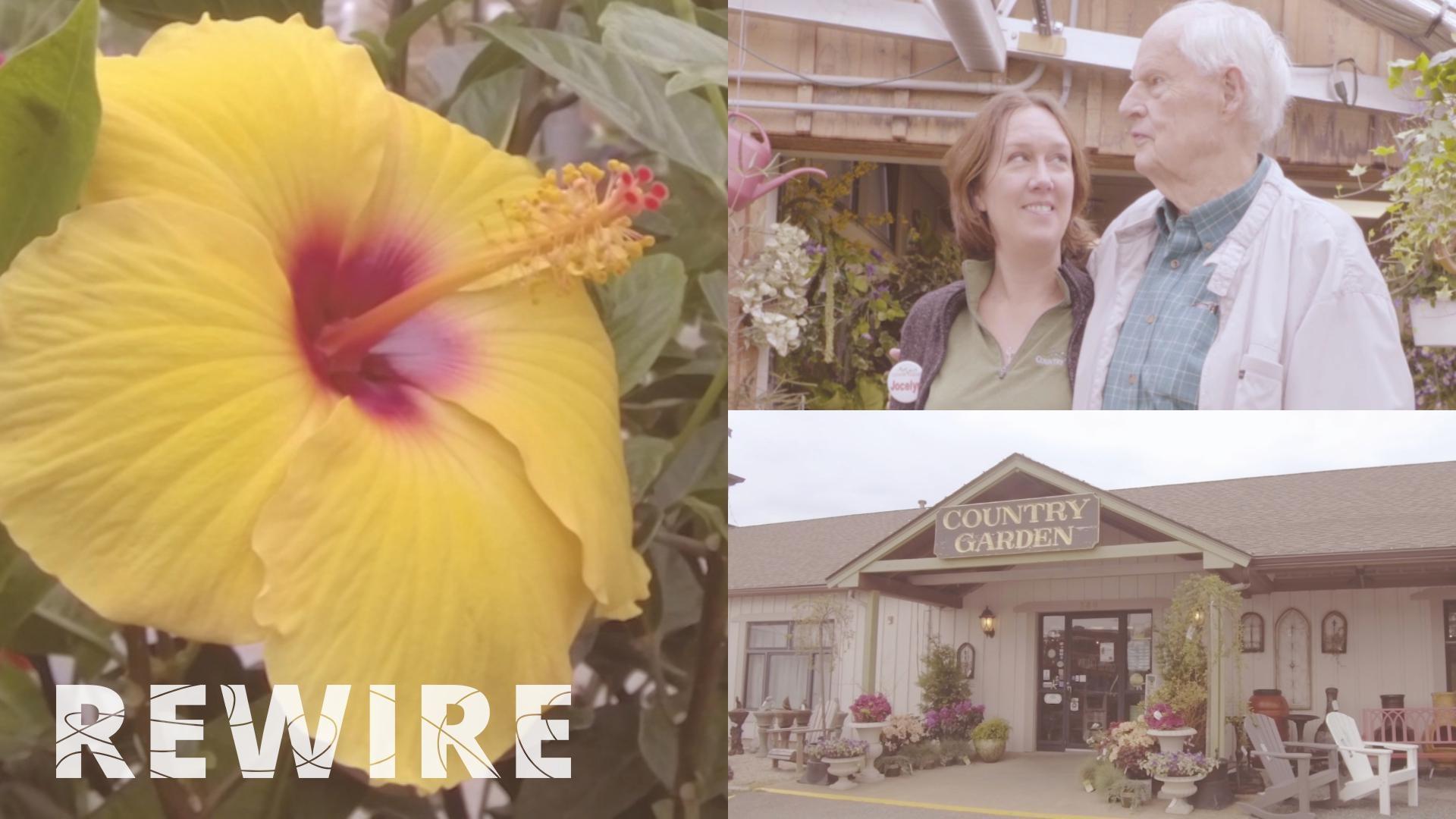 Rewire Hyannis Country Garden Is A Family Business With Deep Roots Pbs