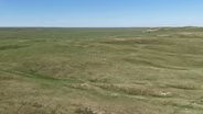 Sandhills Wildfire Recovery & Landscape Weed Control