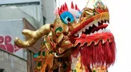 Exploring the History of the Lion Dance with the Philadelphia Suns Lion  Dancers