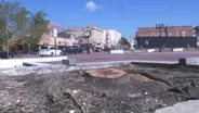 Anger over Lakewood cutting trees to deter homeless people