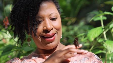 Video thumbnail: North Carolina Weekend Family Favorites
