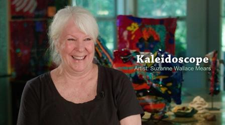 Video thumbnail: Gallery America Suzanne Wallace Mears