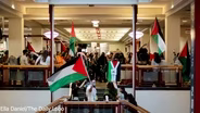Pro-Palestinian Protests at UNM