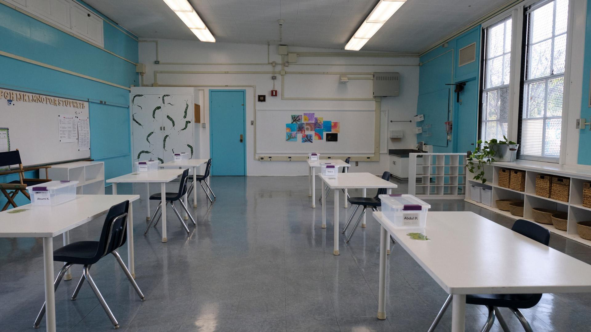 Schools Reopening: What You Need to Know | Apr. 5 - Vimarsana News