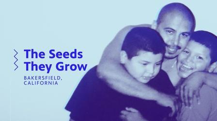 The Seeds They Grow