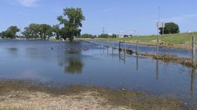 Video thumbnail: Backyard Farmer BYF: Tomato Plant Pests & Kearney Flood Recovery