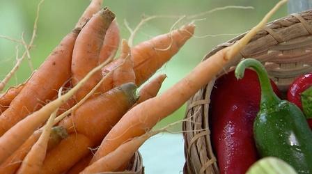 Video thumbnail: Virginia Home Grown Organic Heirloom Vegetables