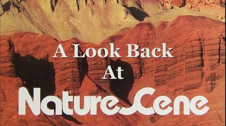 Video thumbnail: Carolina Stories A Look Back at NatureScene