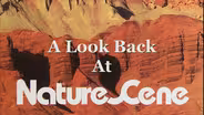 A Look Back at NatureScene