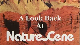 A Look Back at NatureScene